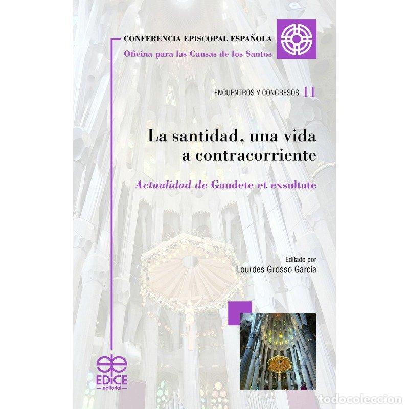 books: LA SANTIDAD UNA VIDA A CONTRACORRIENTE - LOURDES GROSSO GARCIA