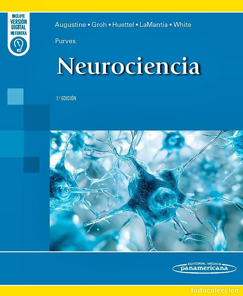 Libri: PURVES NEUROCIENCIA 7&ordf; ED DUO - GEORGE J AUGUSTINE