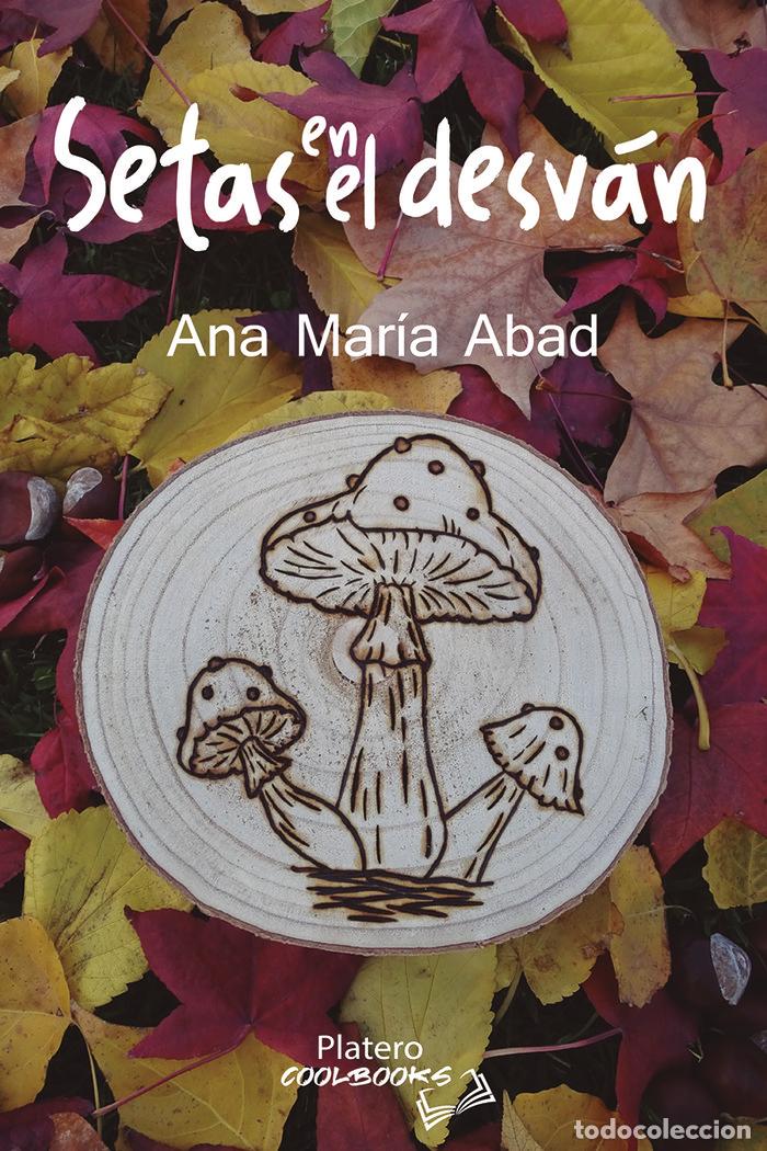 Livres: SETAS EN EL DESVAN - ABAD, ANA MARIA