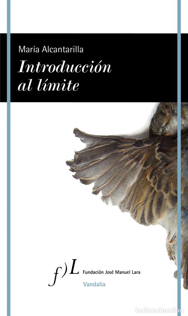 Livres: INTRODUCCION AL LIMITE - MARIA ALCANTARILLA