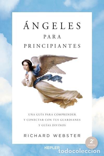 B&uuml;cher: ANGELES PARA PRINCIPIANTES - WEBSTER, RICHARD