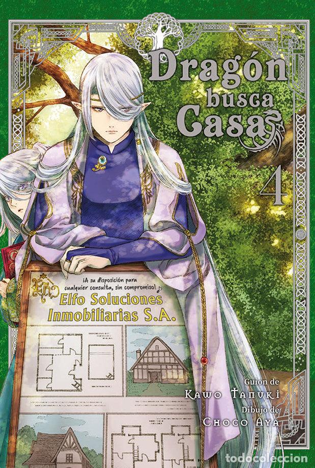 Livros: DRAGON BUSCA CASA 4 - TANUKI, KAWO