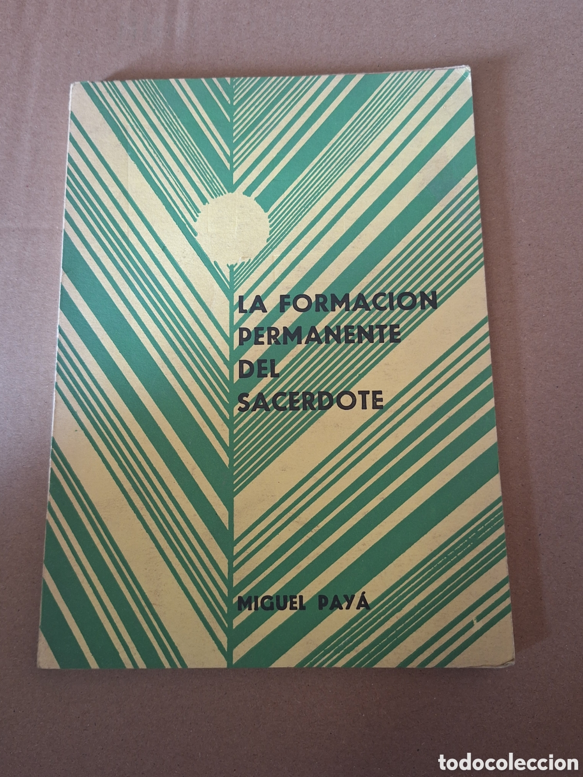 Libros: La formaci&oacute;n permanente del sacerdote . Miguel Pay&aacute;