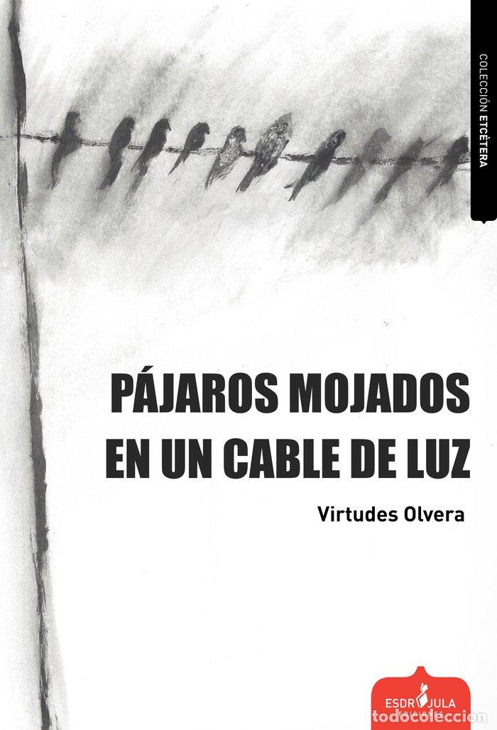 Libros: PAJAROS MOJADOS EN UN CABLE DE LUZ - OLVERA, VIRTUDES