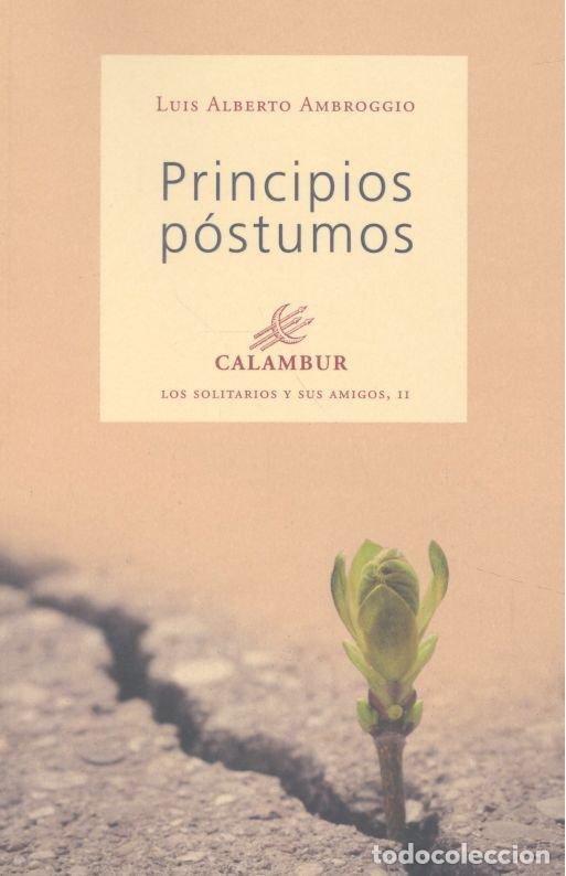 Libros: PRINCIPIOS POSTUMOS - AMBROGGIO, LUIS ALBERTO