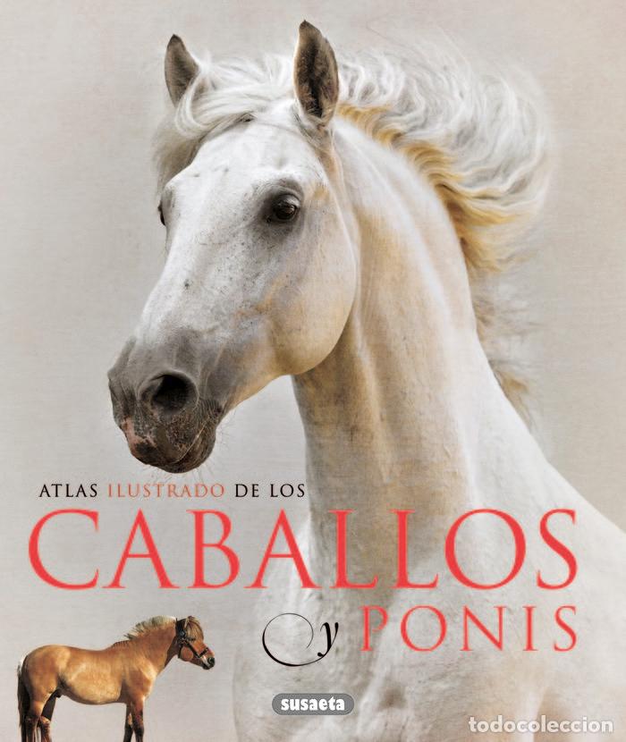 Libri: ATLAS ILUSTRADO DE CABALLOS Y PONIS - AA.VV