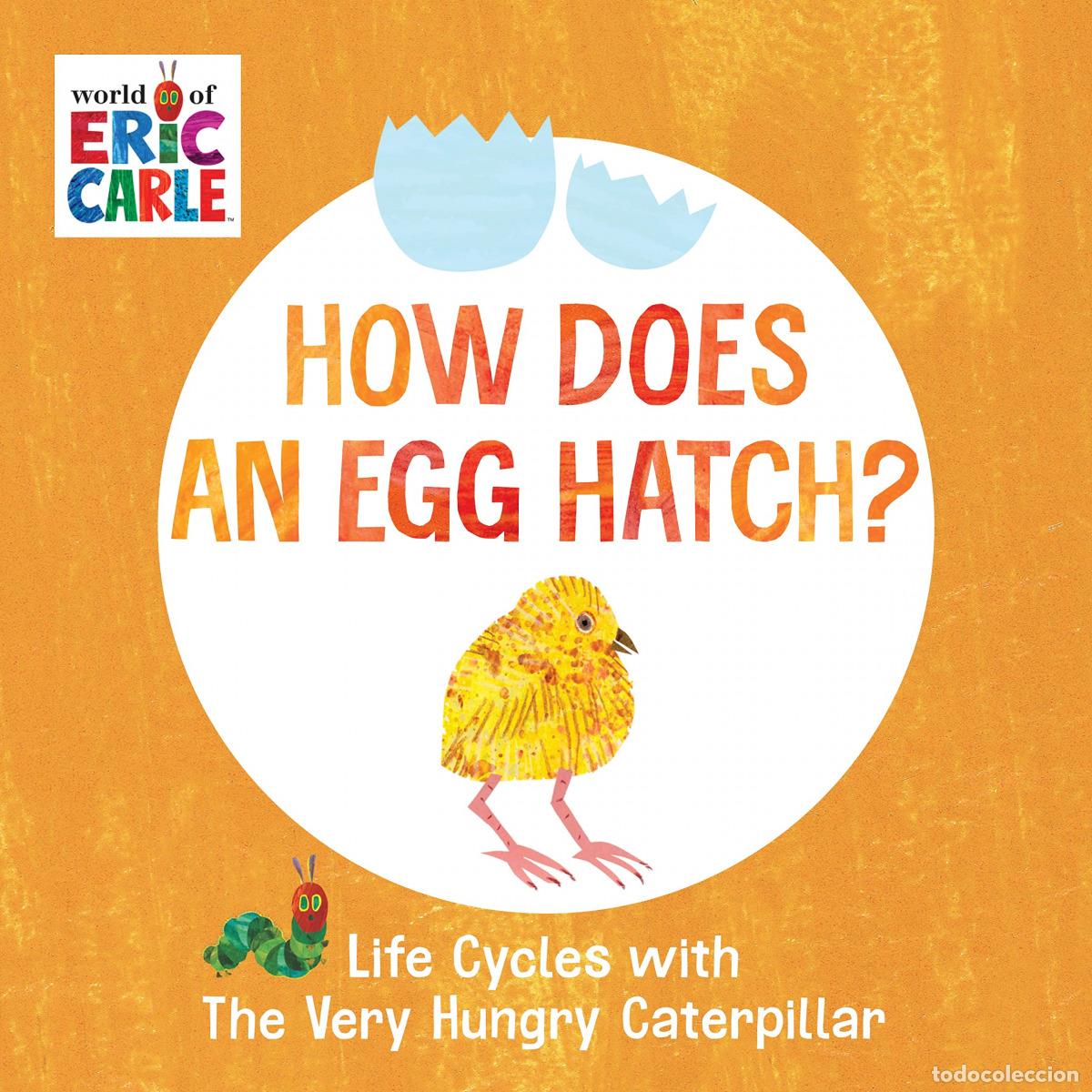 Livros: HOW DOES AN EGG HATCH - CARLE, ERIC