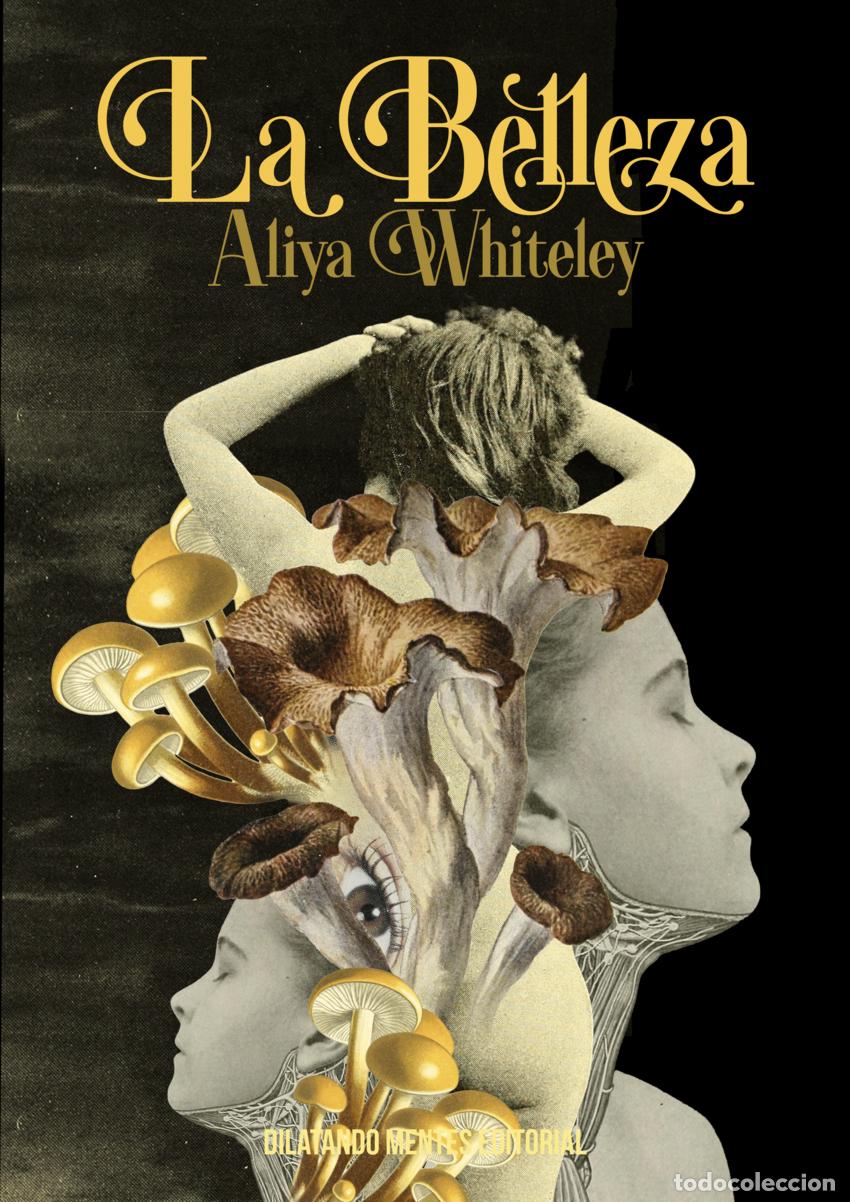 Libros: LA BELLEZA - Whiteley, Aliya