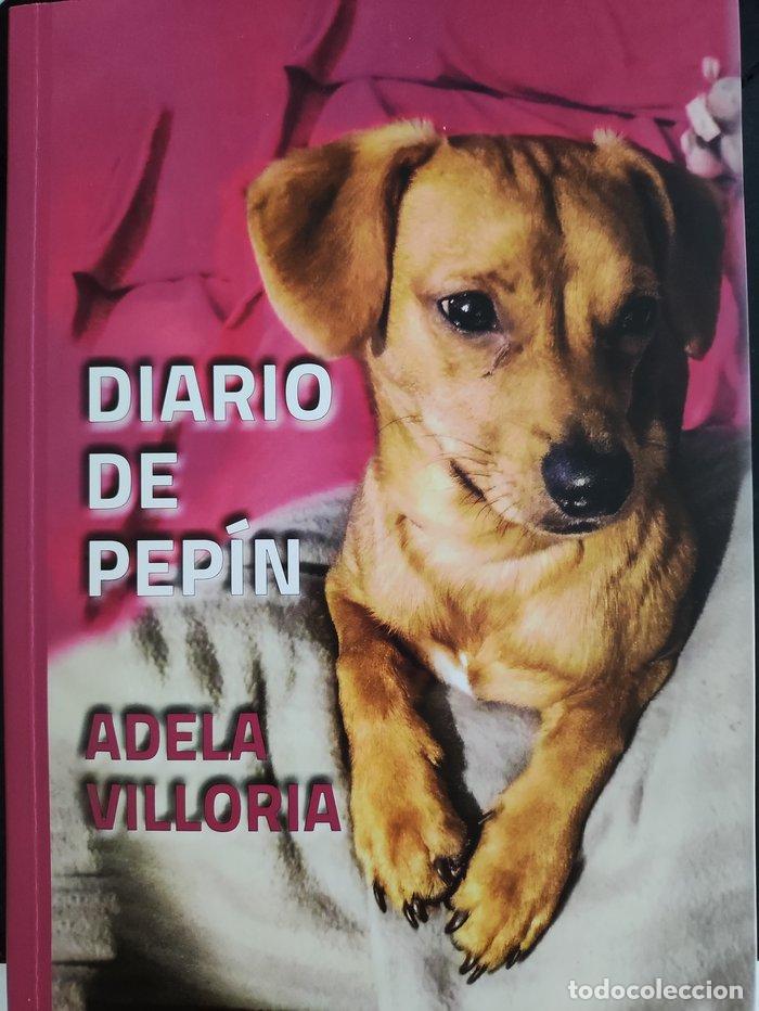 Livres: DIARIO DE PEPIN - VILLORIA SANCHEZ, ADELA