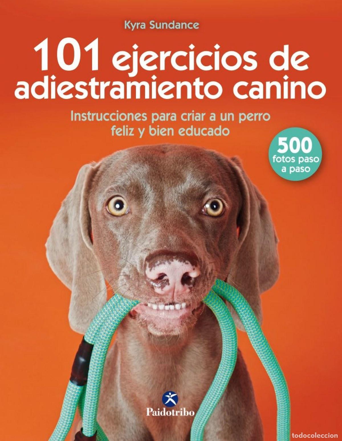 B&uuml;cher: 101 EJERCICIOS DE ENTRENAMIENTO CANINO - Sundance, Kyra