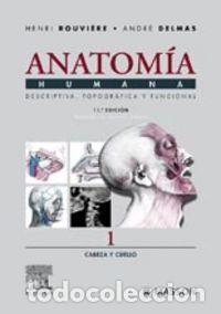 books: CABEZA Y CUELLO - ..