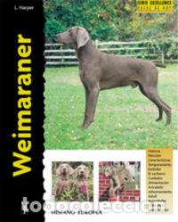 B&uuml;cher: WEIMARANER - HARPER, LAVONIA