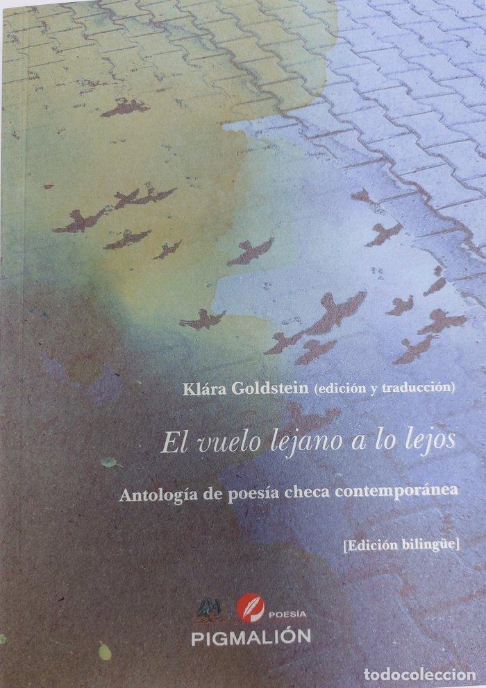 Livres: EL VUELO LEJANO A LO LEJOS - GOLDSTEIN, KLARA
