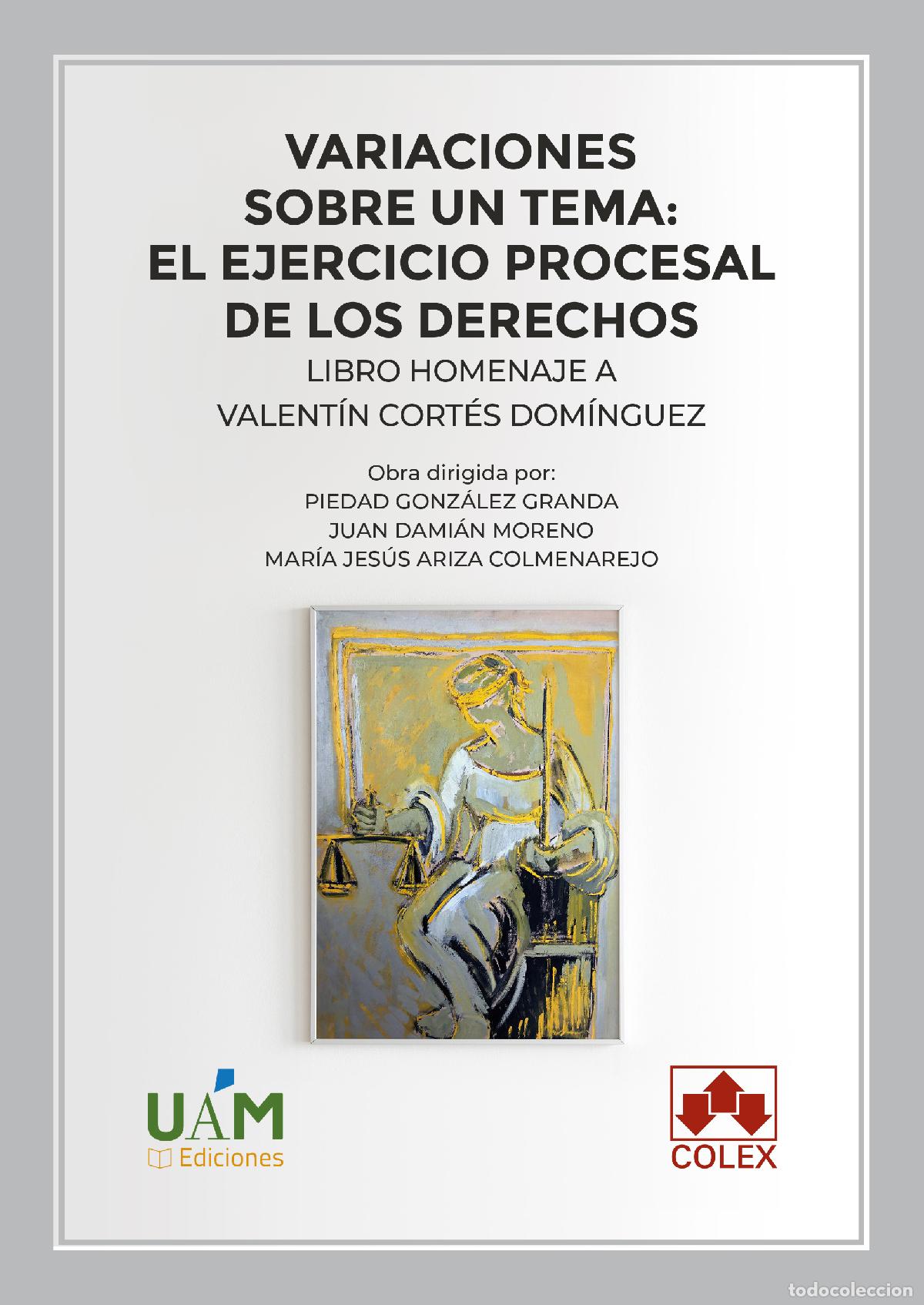 Libros: VARIACIONES SOBRE UN TEMA: EL EJERCICIO PROCESAL DE LOS DERECHOS - Dami&aacute;n Moreno, Juan