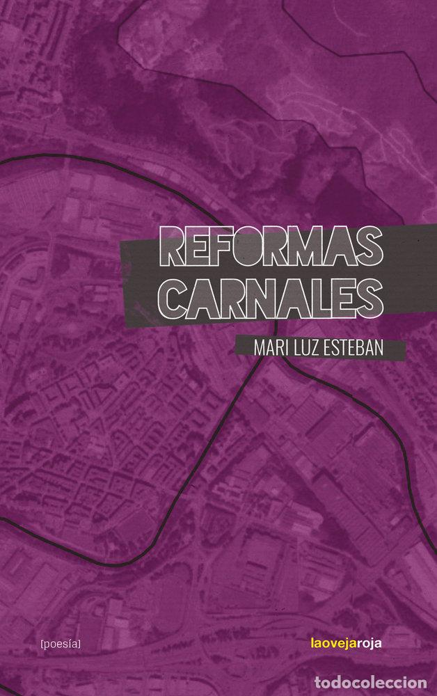 Libros: REFORMAS CARNALES - ESTEBAN, MARI LUZ