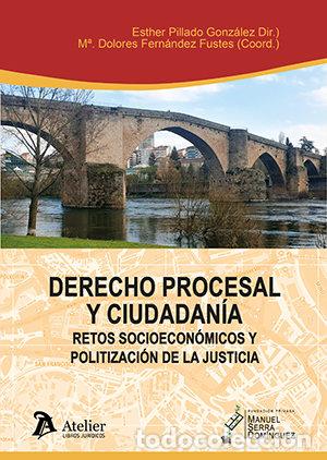 Libri: DERECHO PROCESAL Y CIUDADANIA RETOS SOCIOECONOMICOS Y POLIT - ESTHER PILLADO GONZALEZ