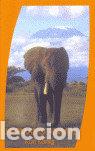 B&uuml;cher: HERMANO ANIMAL - K&Ouml;NIG, KARL