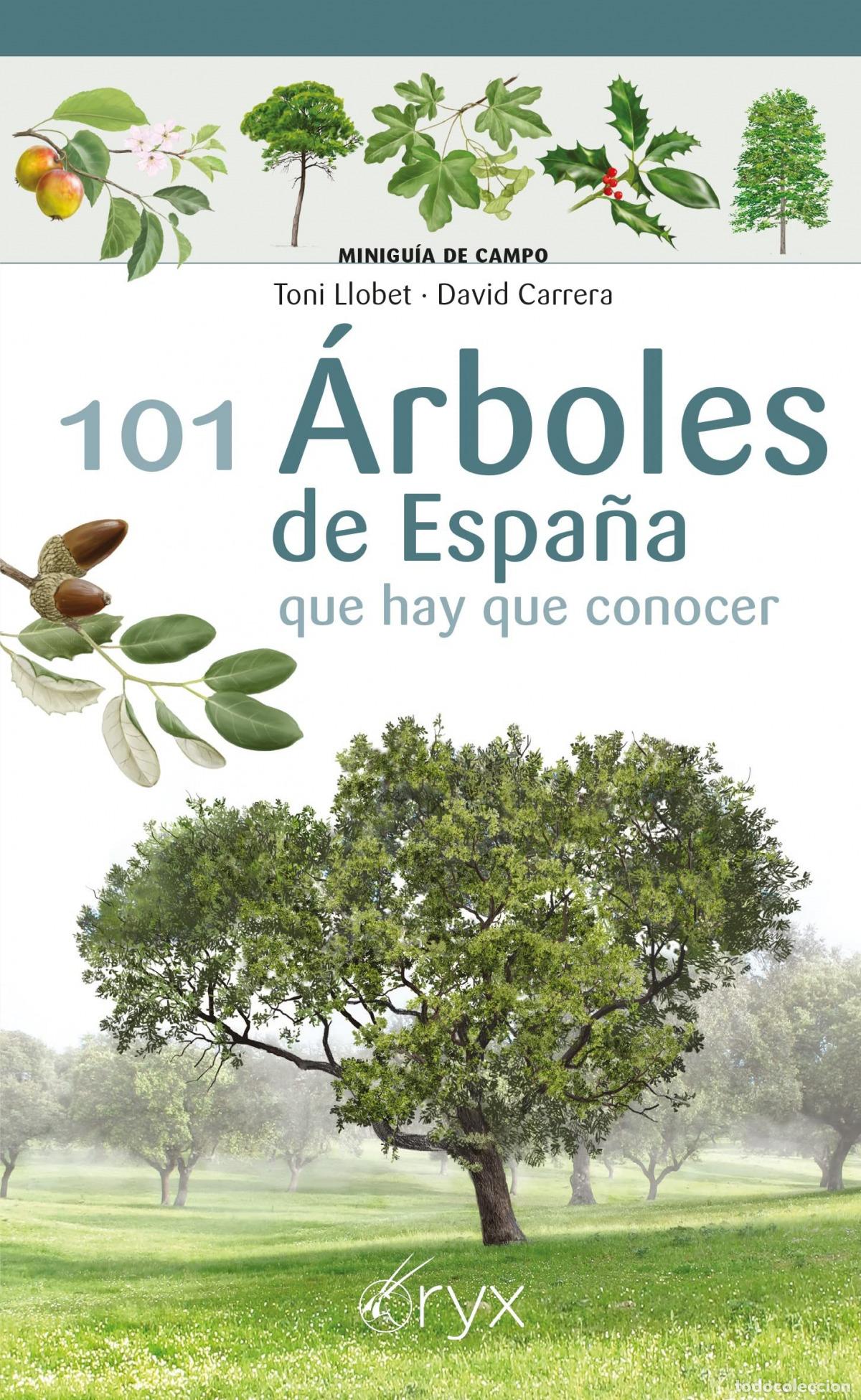 Livres: 101 &Aacute;RBOLES DE ESPA&Ntilde;A - Llobet Fran&ccedil;ois, Toni