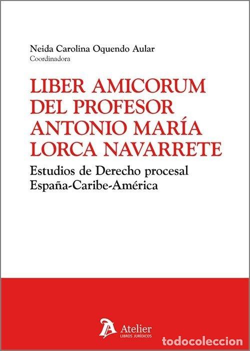 Livres: LIBER AMICORUM DEL PROFESOR ANTONIO MARIA LORCA NAVARRETE - OQUENDO AULAR, NEIDA CAROLINA