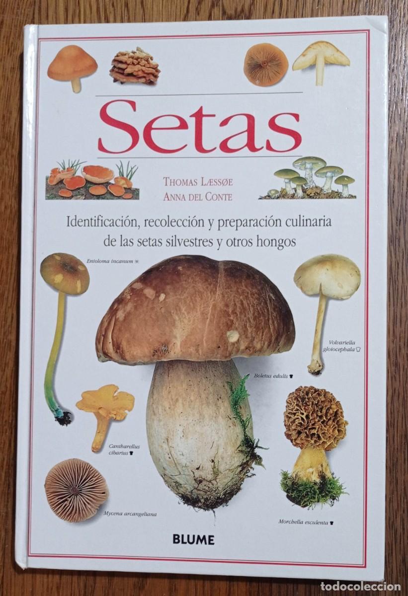 Libros: SETAS. THOMAS LAESSOE Y ANNA DEL CONTE. BLUME - Foto 1