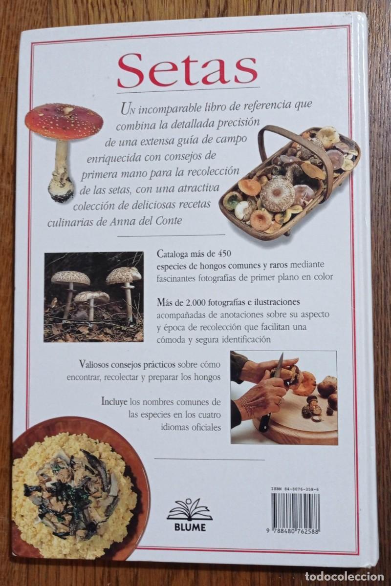 Libros: SETAS. THOMAS LAESSOE Y ANNA DEL CONTE. BLUME - Foto 2