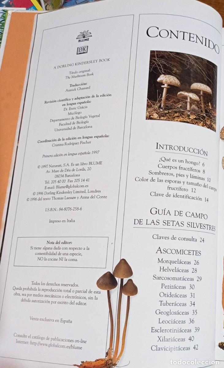 Libros: SETAS. THOMAS LAESSOE Y ANNA DEL CONTE. BLUME - Foto 3