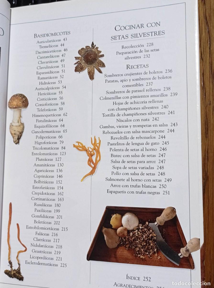 Libros: SETAS. THOMAS LAESSOE Y ANNA DEL CONTE. BLUME - Foto 4