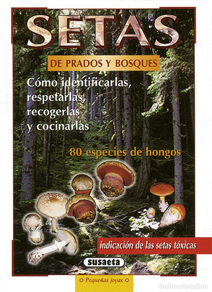 Libros: SETAS DE PRADOS Y BOSQUES - Susaeta, Equipo
