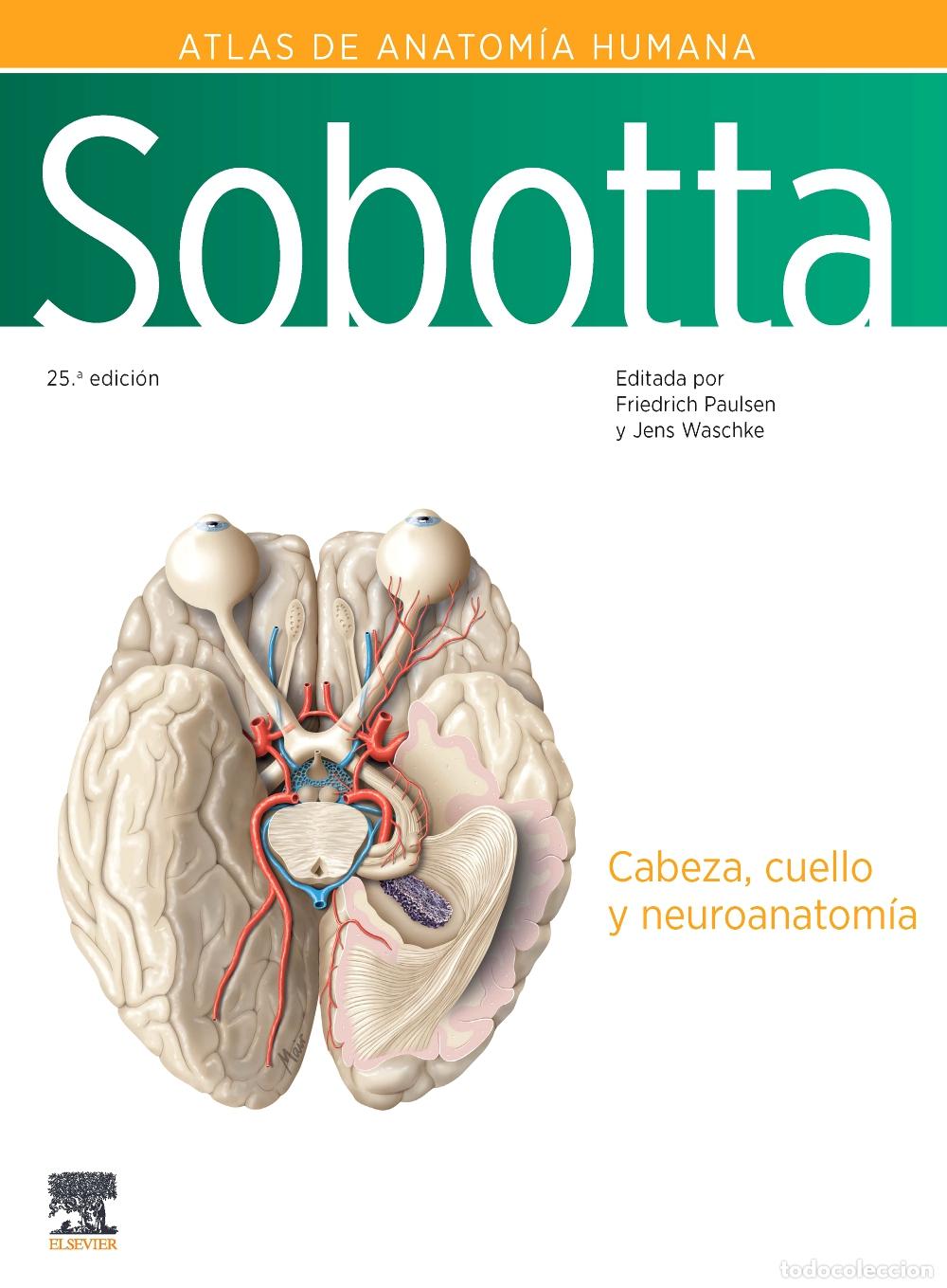 books: SOBOTTA ATLAS DE ANATOMIA HUMANA VOL 3 25&ordf; ED - PAULSEN