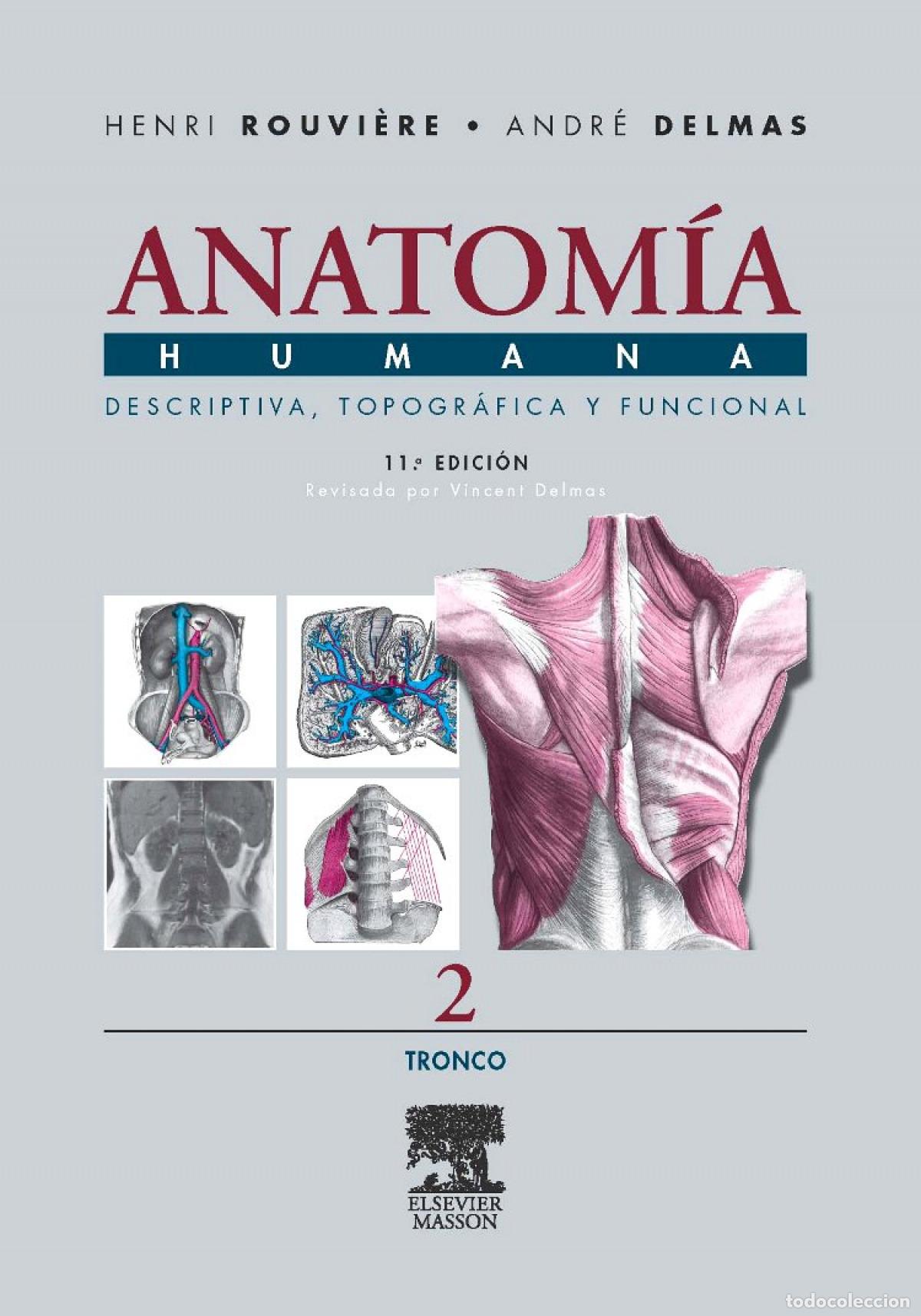 Libros: ANATOMIA HUMANA DESCRIPTIVA TOPOGRAFICA FUNCIONAL:TRONCO - Rouviere, H