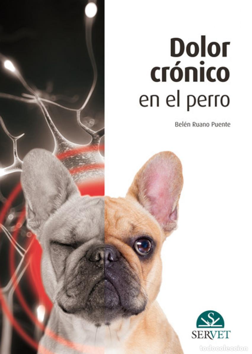 Libros: DOLOR CR&Oacute;NICO EN EL PERRO - Ruano Puente, Bel&eacute;n