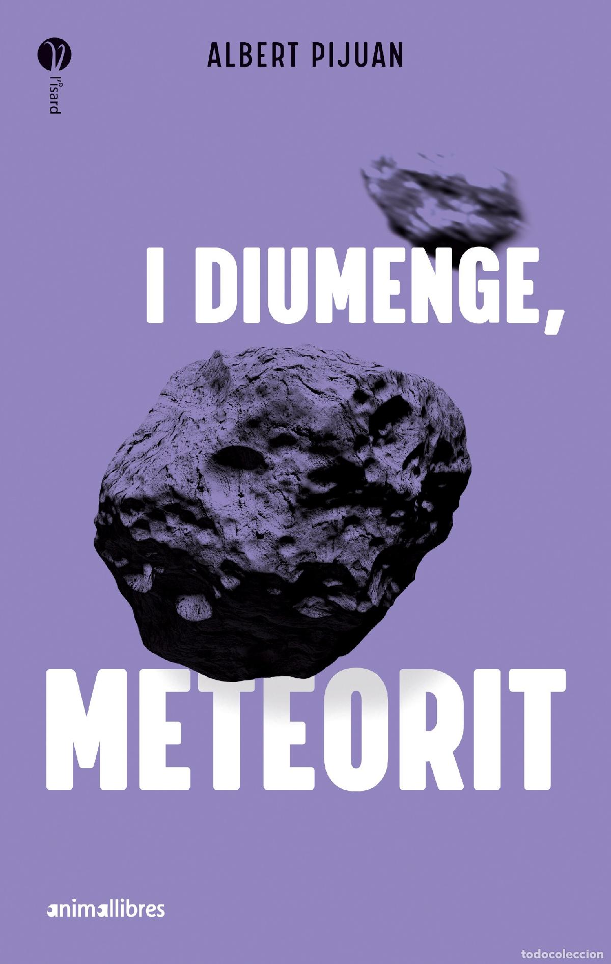 Libros: I DIUMENGE METEORIT - ALBERT PIJUAN