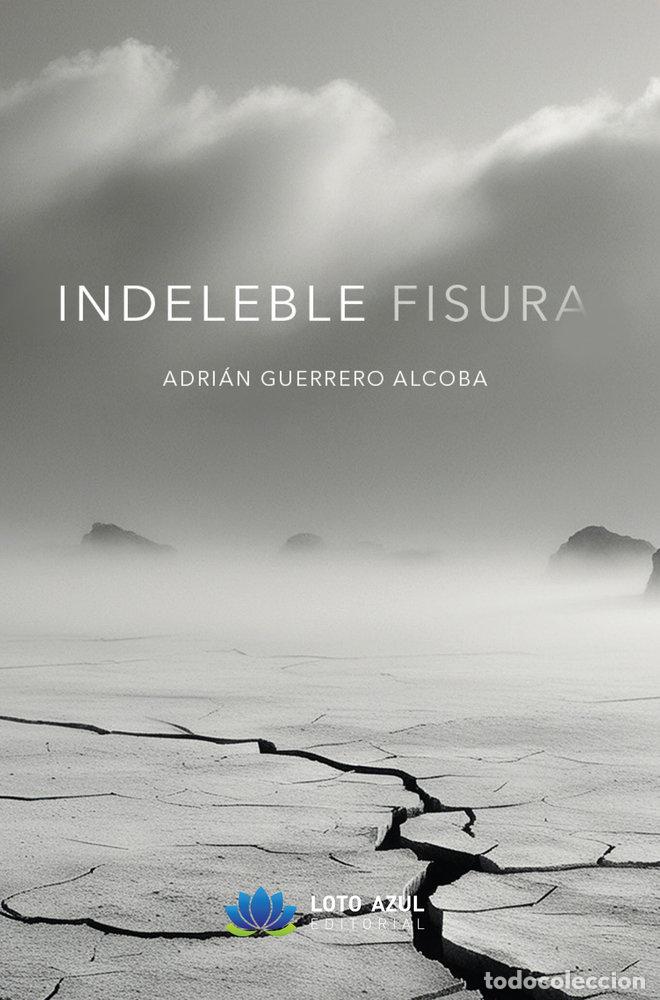 Libros: INDELEBLE FISURA - GUERRERO ALCOBA, ADRIAN