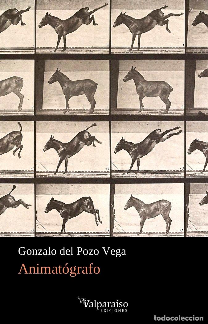 books: ANIMATOGRAFO - DEL POZO VEGA, GONZALO