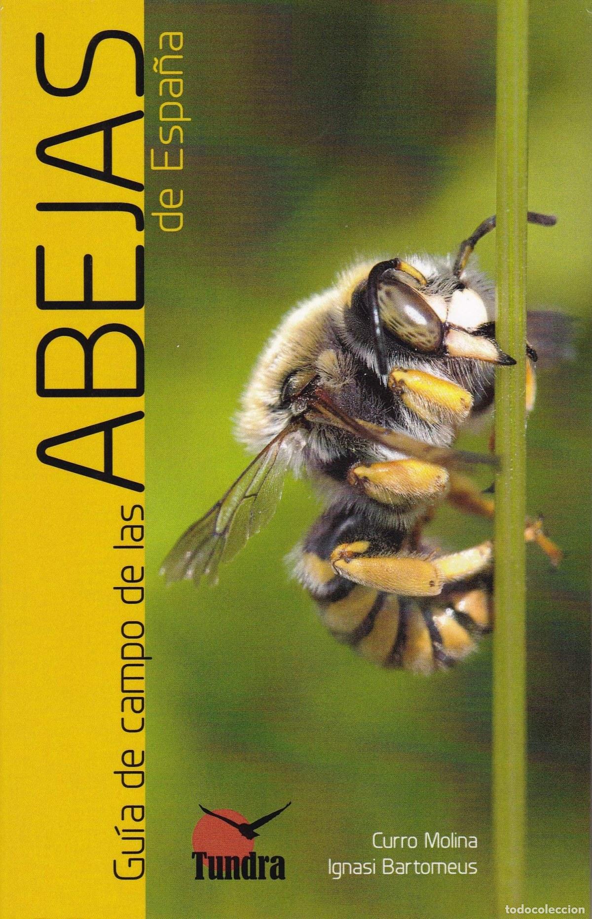 books: GU&Iacute;A DE CAMPO DE LAS ABEJAS DE ESPA&Ntilde;A - Molina, Curro
