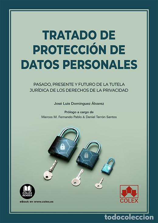 Libros: TRATADO DE PROTECCI&Oacute;N DE DATOS PERSONALES - Dom&iacute;nguez Alv&aacute;rez, Jos&eacute; Luis