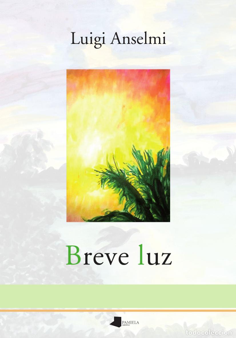 Libros: BREVE LUZ - Anselmi, Luigi