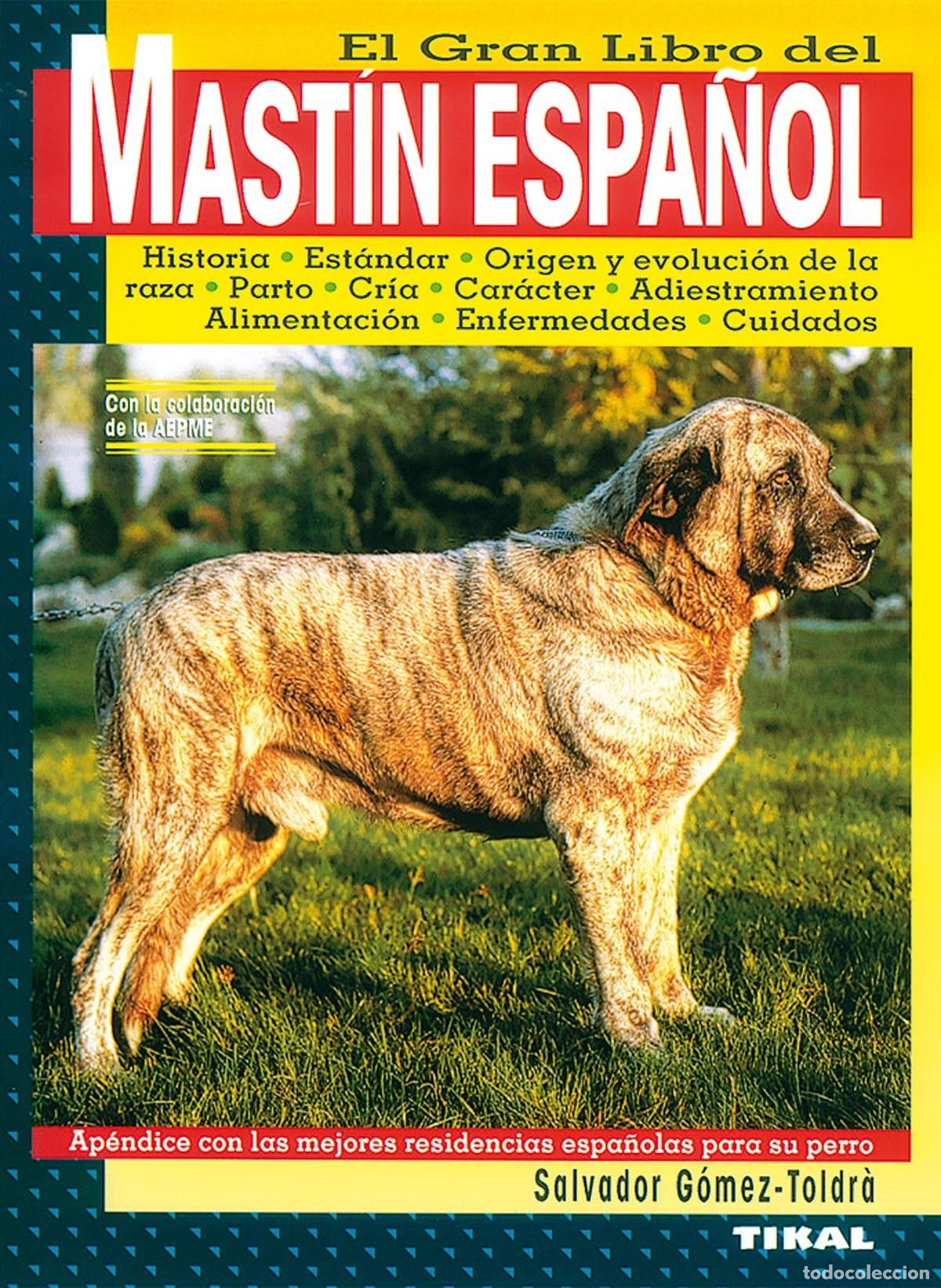 Libros: MAST&Iacute;N ESPA&Ntilde;OL. - G&oacute;mez Toldr&agrave;, Salvador