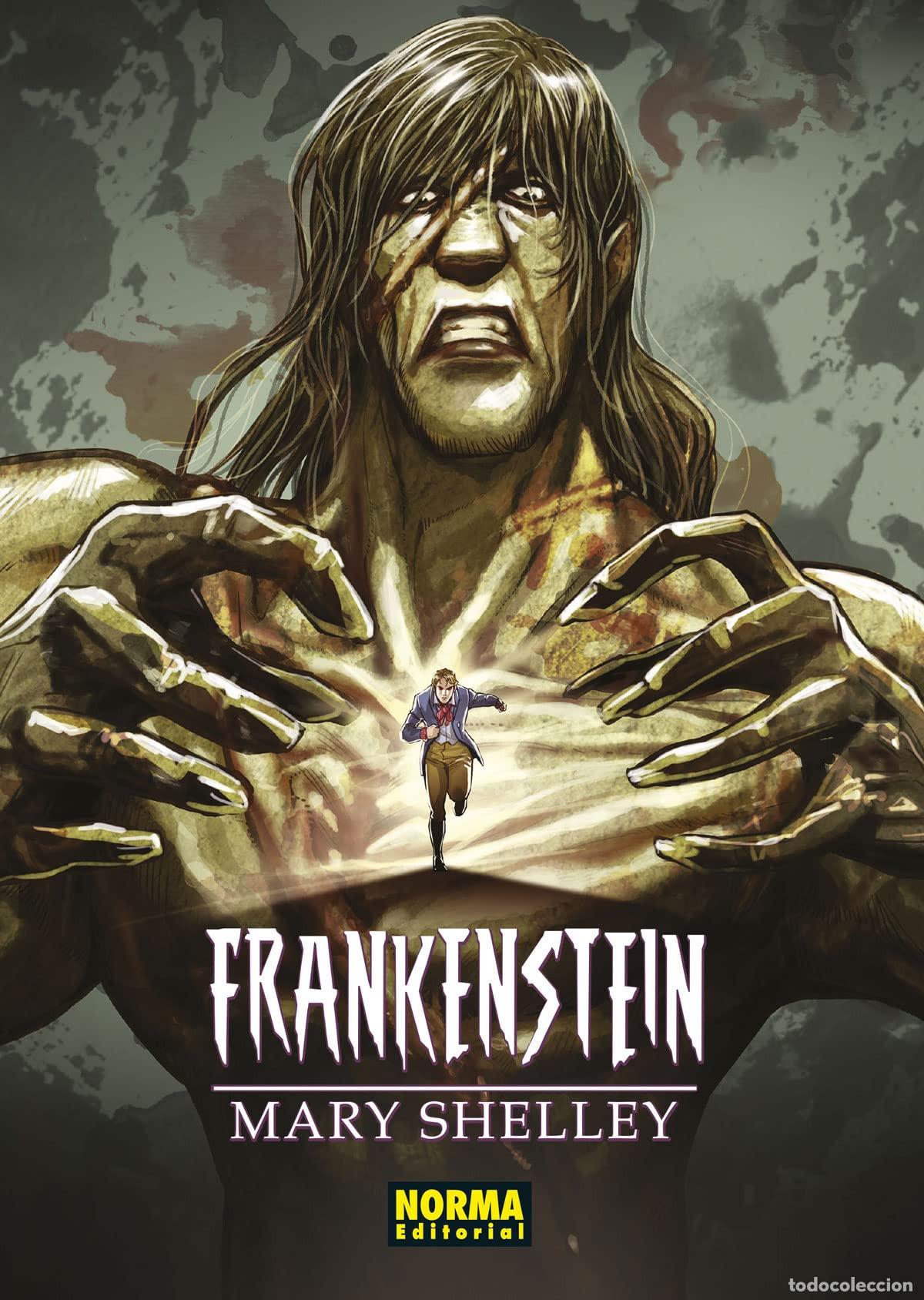 Libros: FRANKENSTEIN (CL&Aacute;SICOS MANGA) - MARY SHELLEY