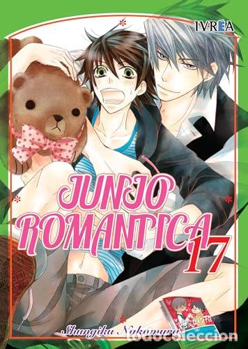 Livres: JUNJO ROM&Aacute;NTICA 17 - SHUNGIKU