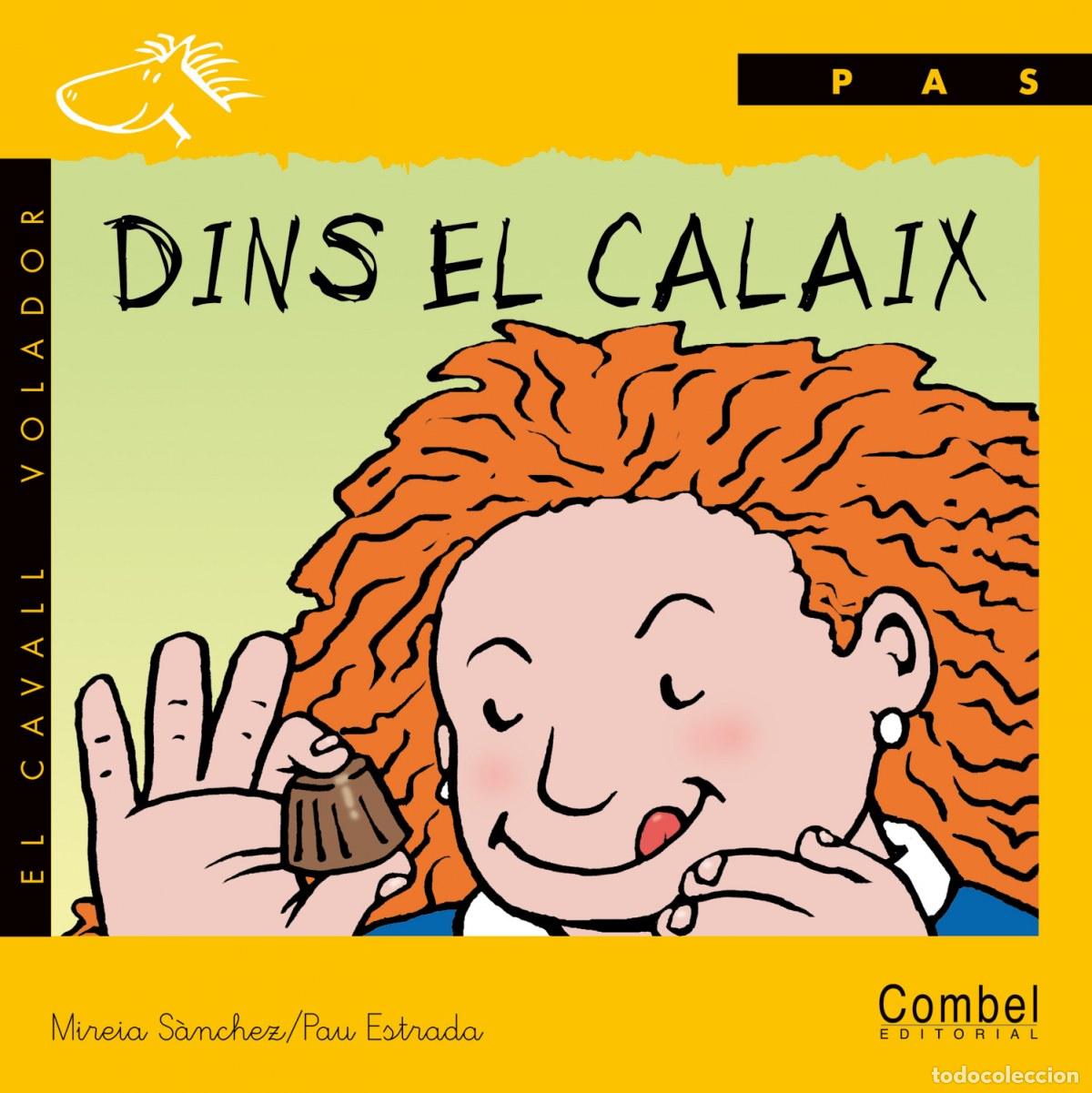 Livros: DINS EL CALAIX - S&aacute;nchez Civil, Mireia
