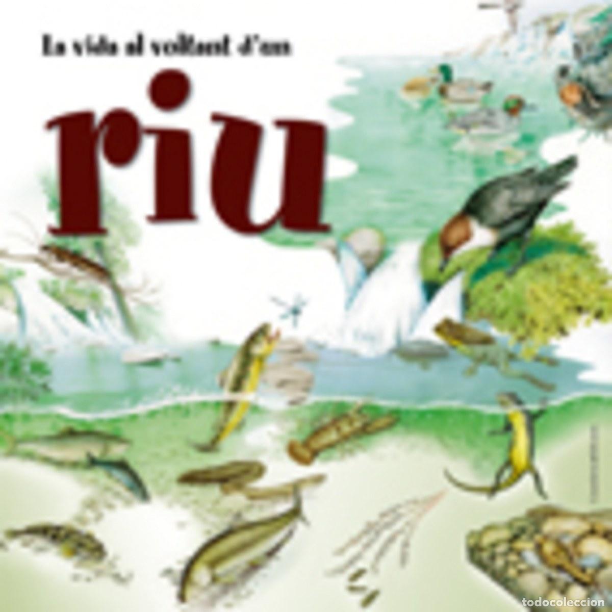 Livres: LA VIDA AL VOLTANT D'UN RIU - Feruccio Cucchiarini