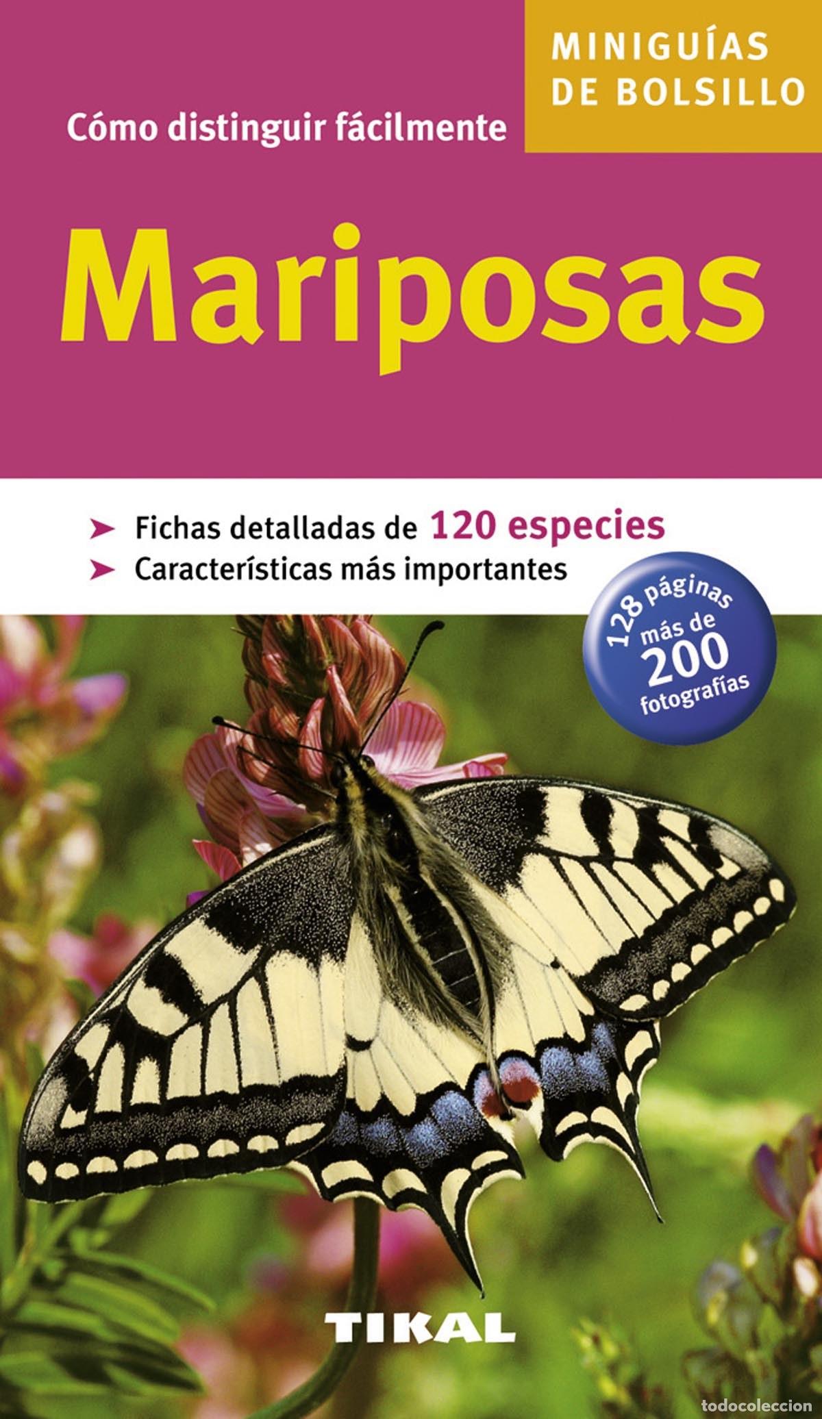 Libri: MARIPOSAS - Varios autores