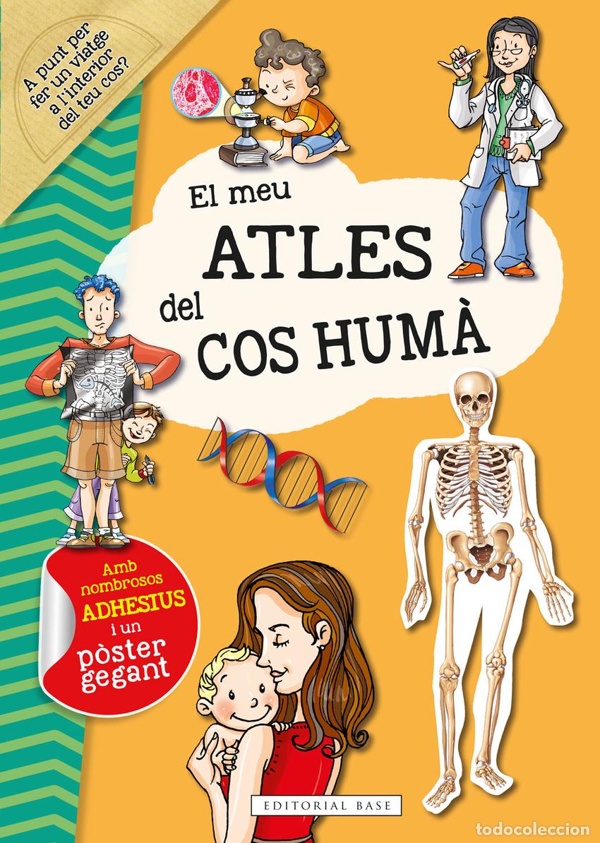 Livres: EL MEU ATLES DEL COS HUM&Agrave; - Rodr&iacute;guez Vida, Alejo
