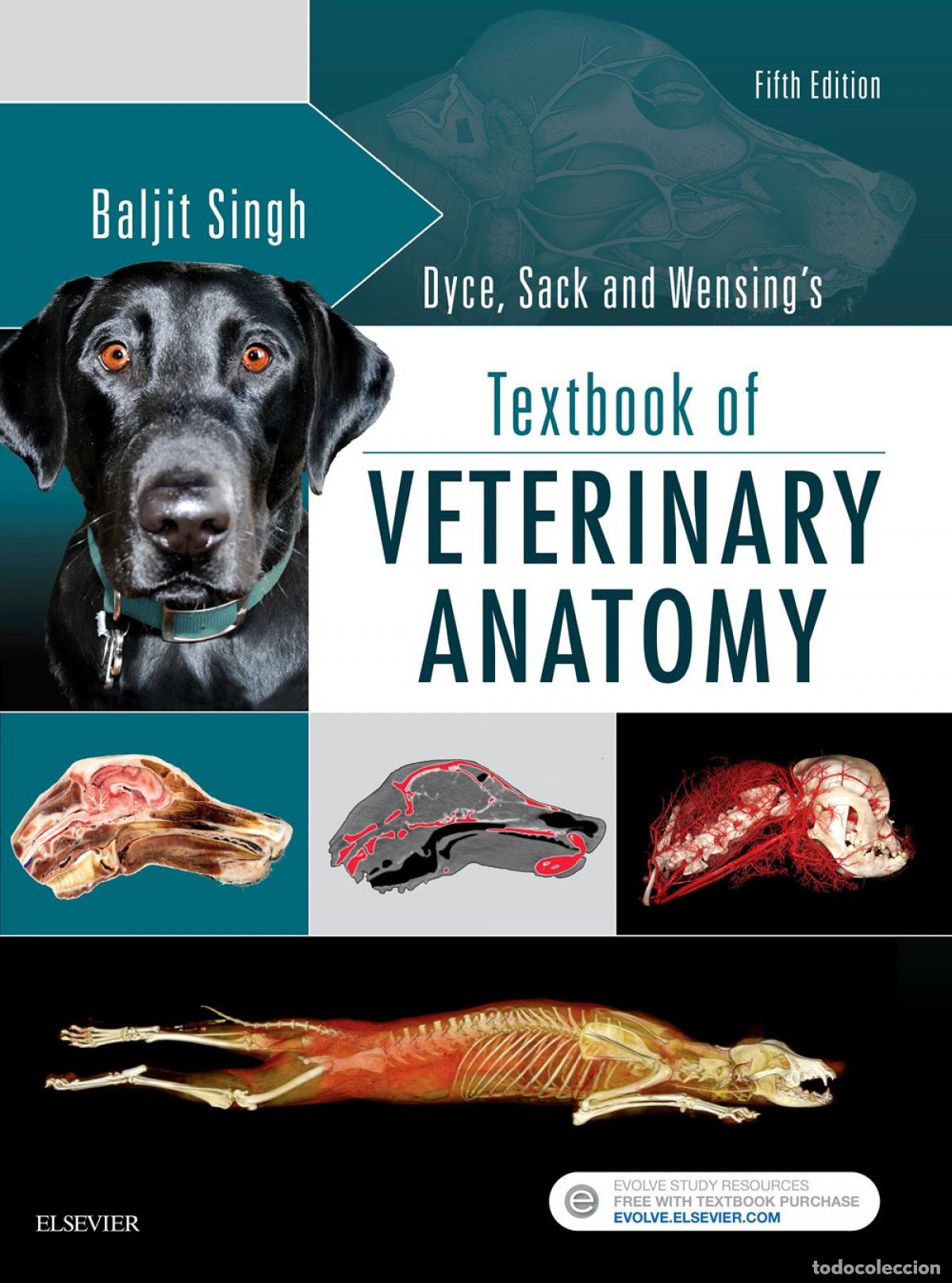 Libros: DYCE, SACK, AND WENSING'S TEXTBOOK OF VETERINARY ANATOMY - Singh, Baljit