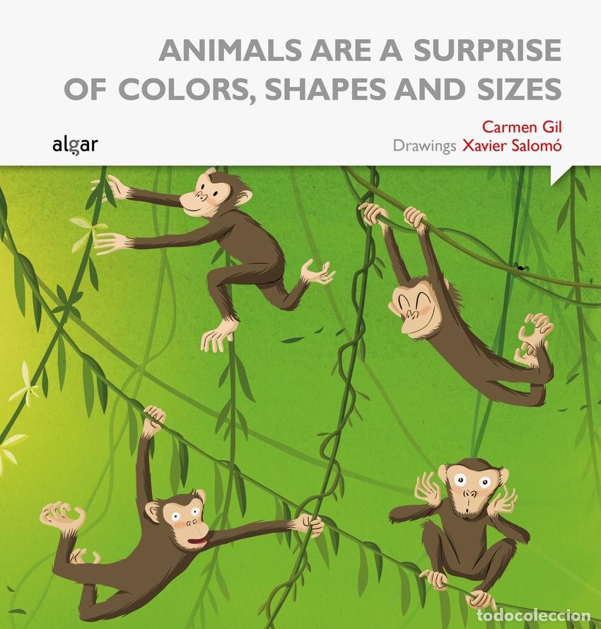 Livres: ANIMALS ARE SUCH SURPRISES ALL COLORS, SHAPES AND SIZES - GIL MARTINEZ, CARMEN