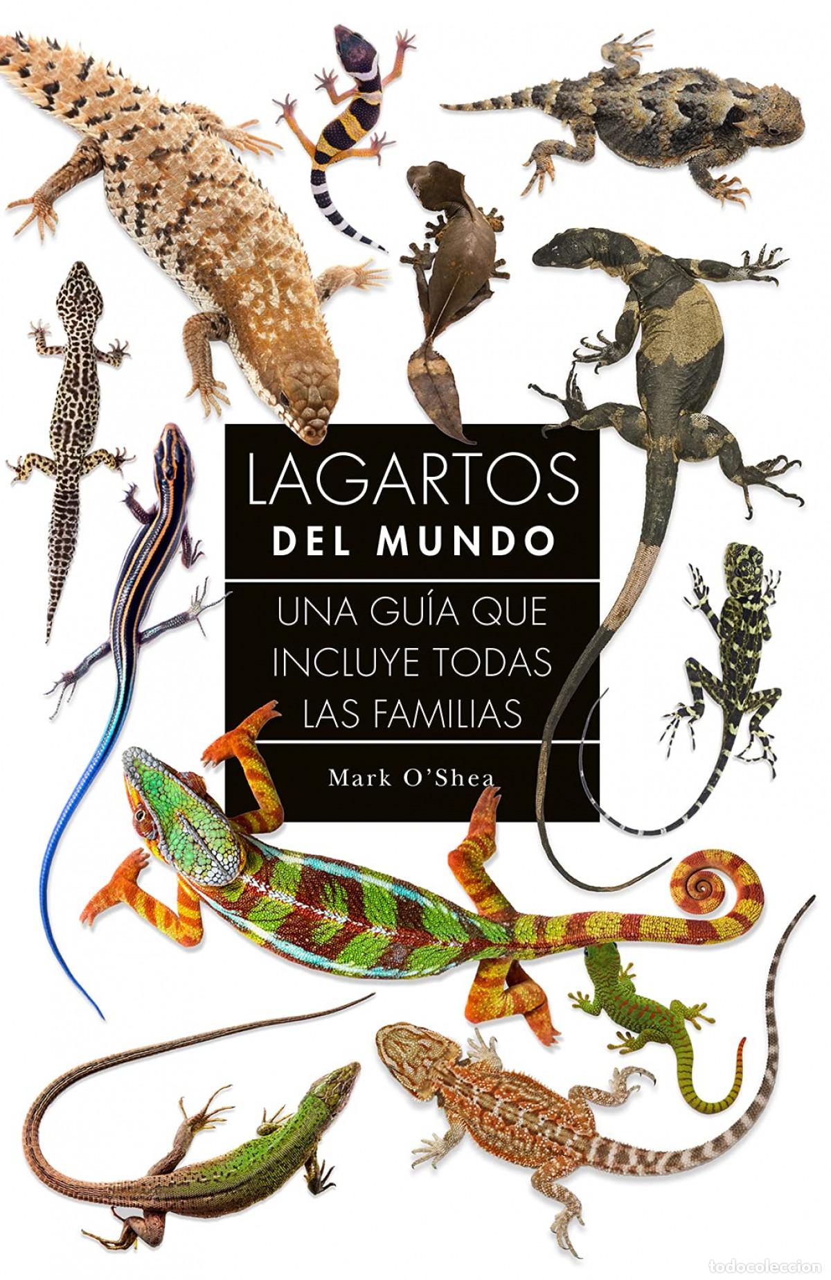 Livres: LAGARTOS DEL MUNDO: UNA GUIA QUE INCLUYE TODAS LAS FAMILIAS - O&#39;shea, Mark