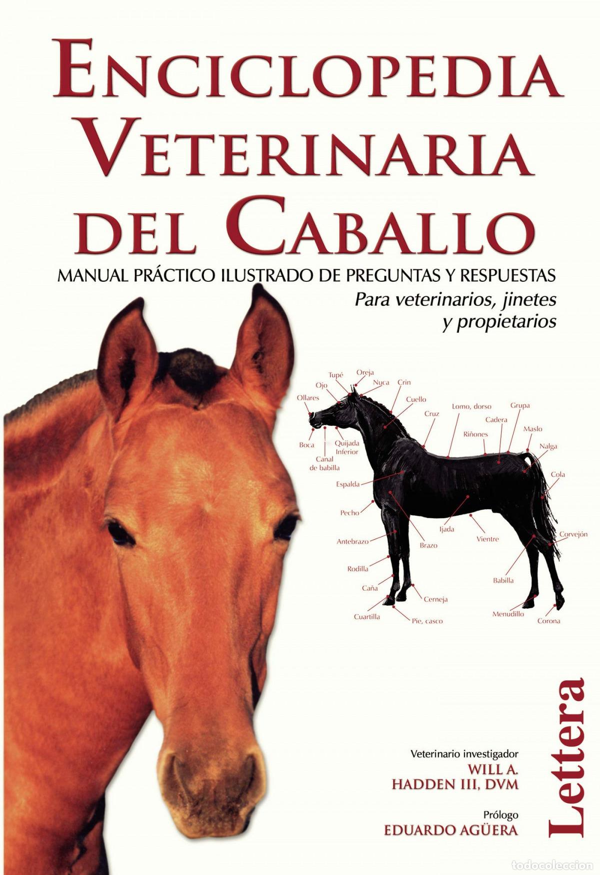 Libros: ENCICLOPEDIA VETERINARIA DEL CABALLO - Hadden III, Will A