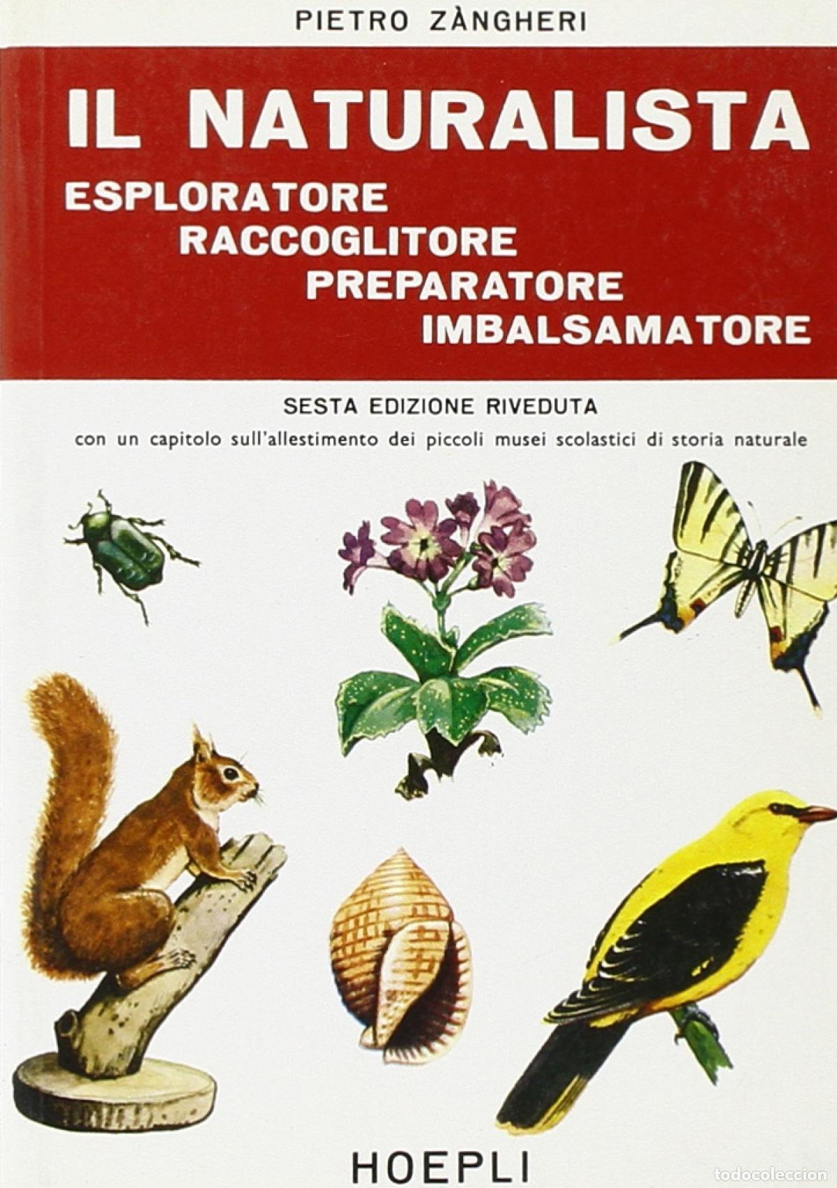 books: IL NATURALISTA ESPLORATORE, RACCOGLITORE, PREPARATORE, IMBALSAMATORE - Pietro, Zangheri