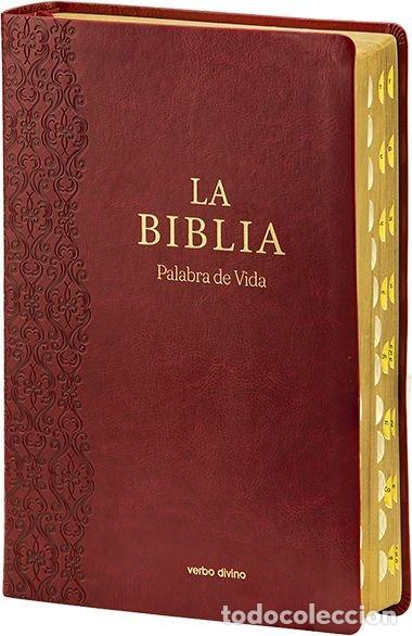 Livres: LA BIBLIA PALABRA DE VIDA LETRA EXTRAGRANDE - DESCONOCIDO